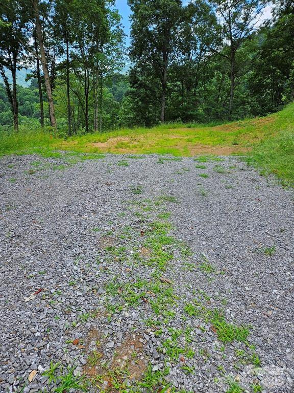 97 Junebug Trail Waynesville NC 28785