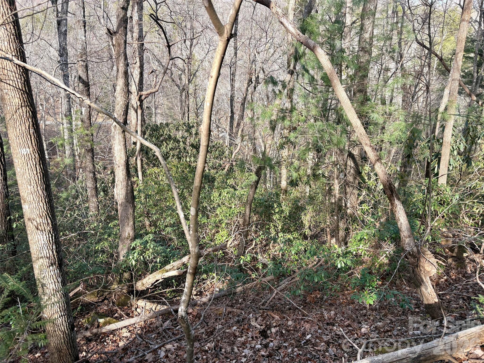 0 Falls View Trail Lake Lure NC 28746