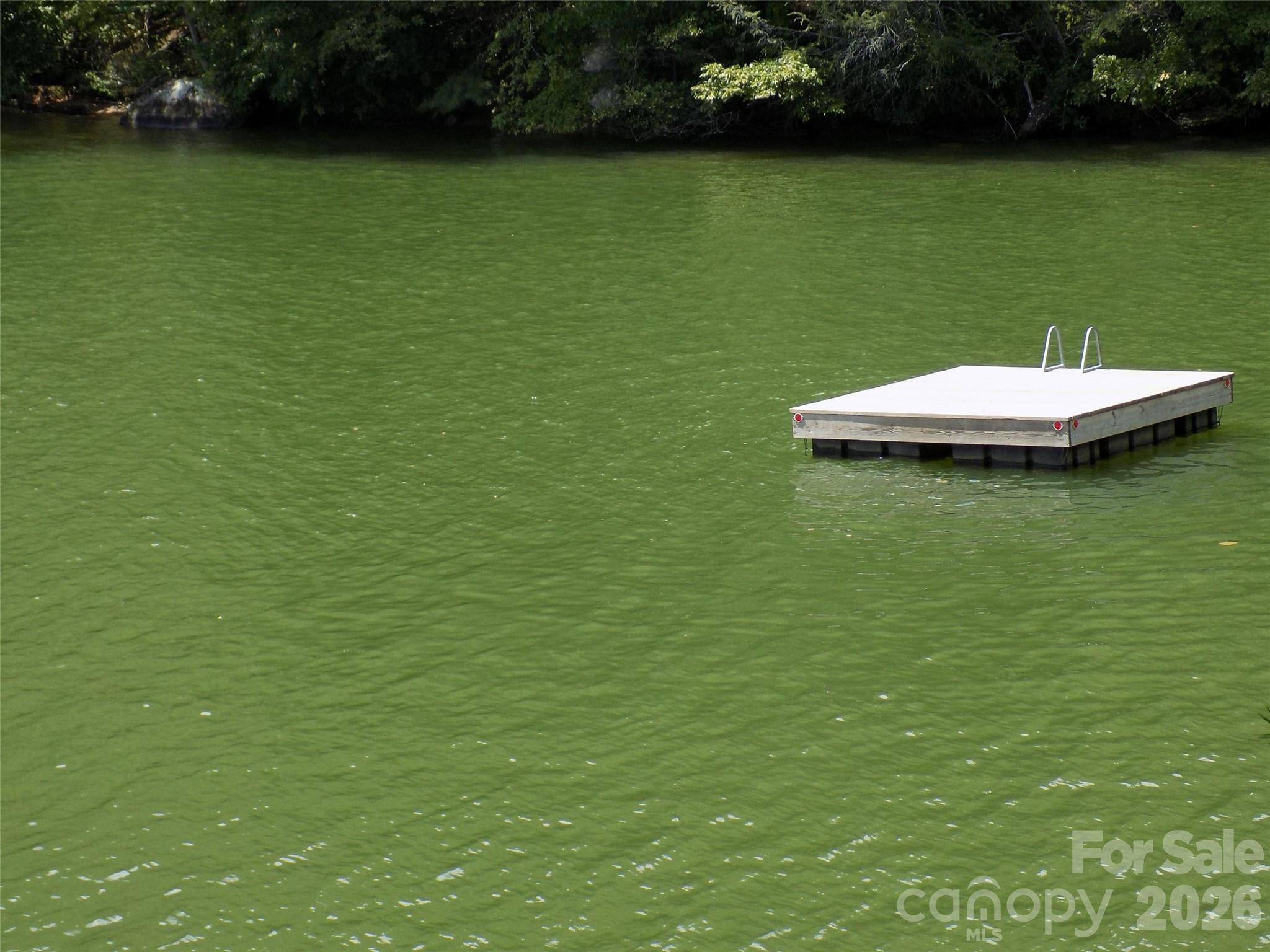 0 Falls View Trail Lake Lure NC 28746