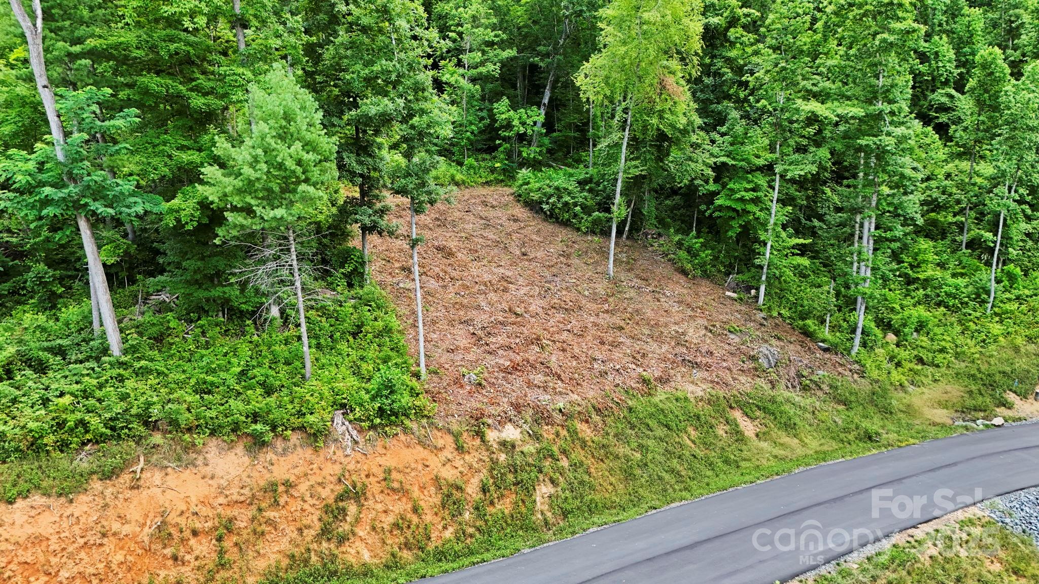Lot 27 Summit View Parkway Spruce Pine NC 28777