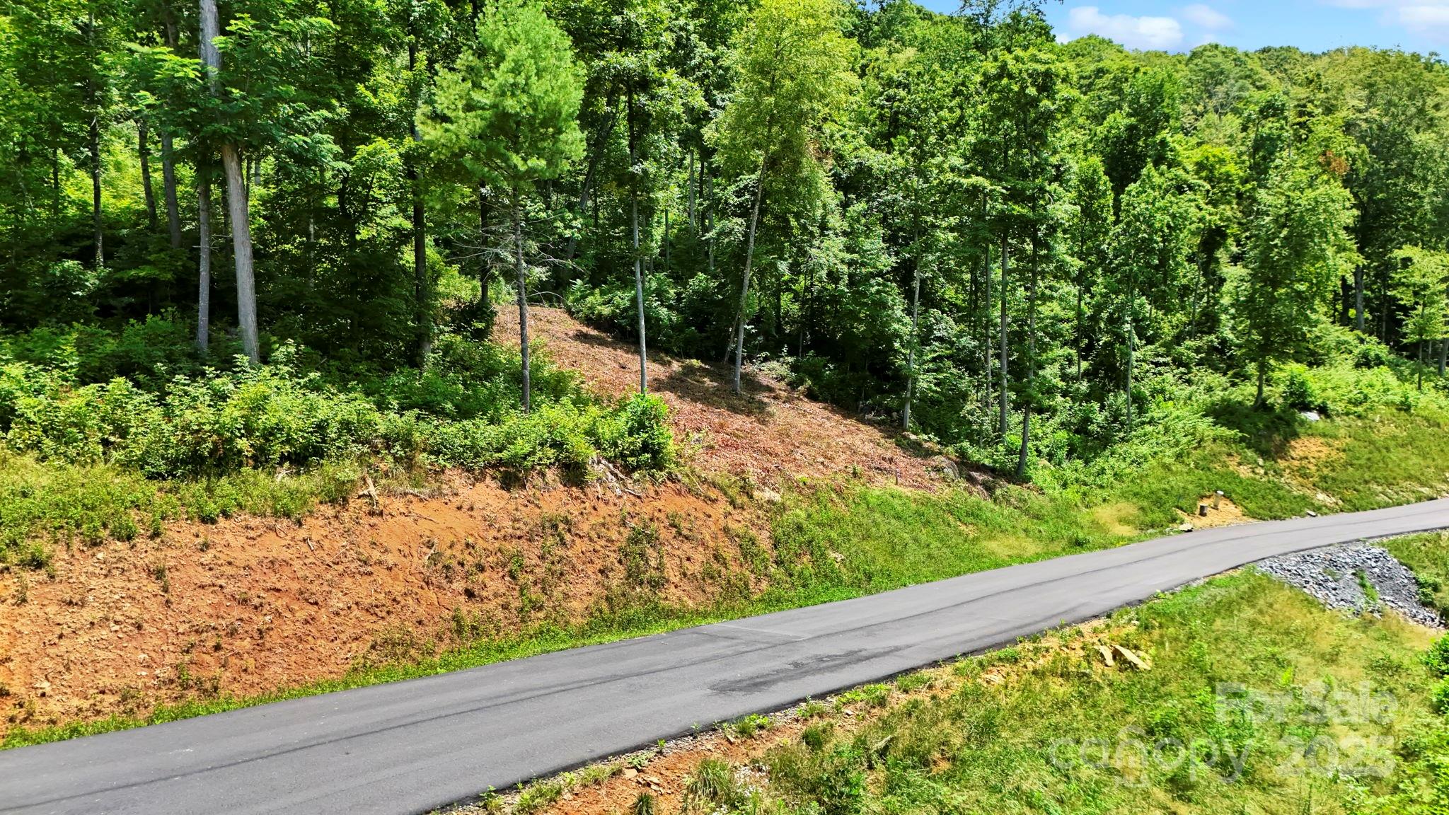 Lot 27 Summit View Parkway Spruce Pine NC 28777