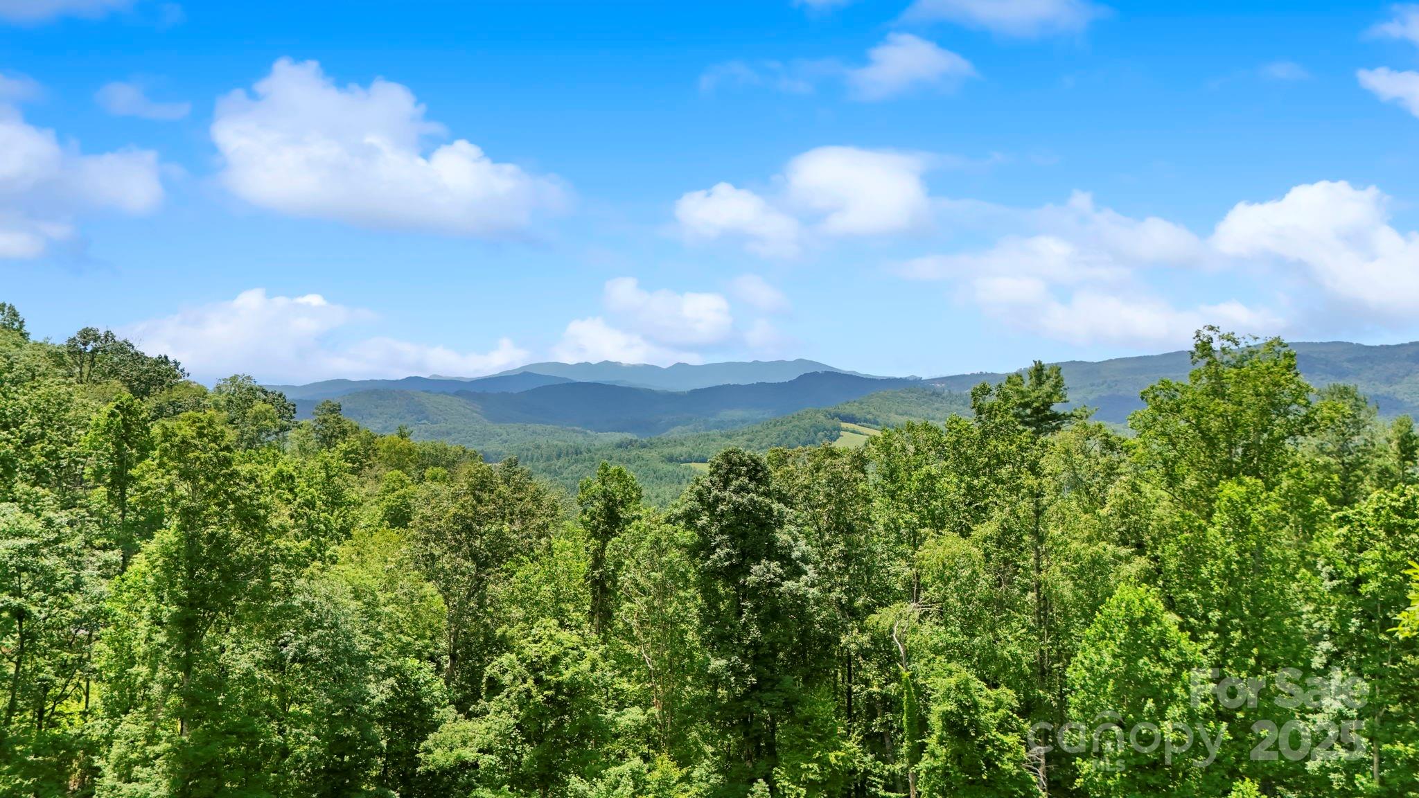 Lot 27 Summit View Parkway Spruce Pine NC 28777