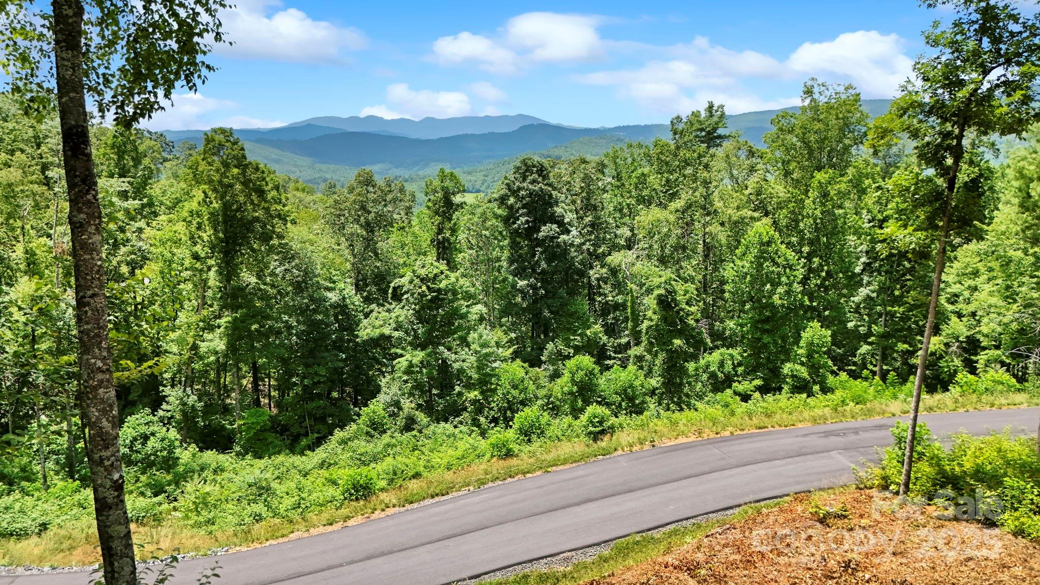 Lot 27 Summit View Parkway Spruce Pine NC 28777