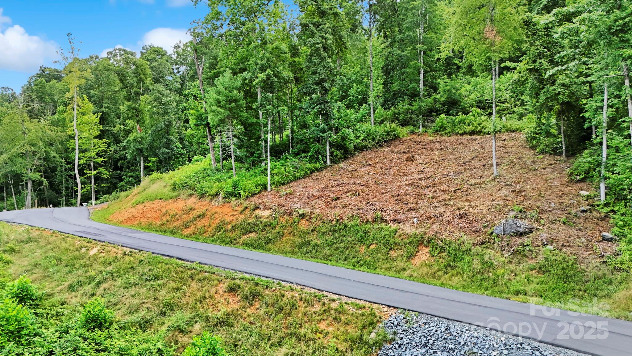 Lot 27 Summit View Parkway Spruce Pine NC 28777