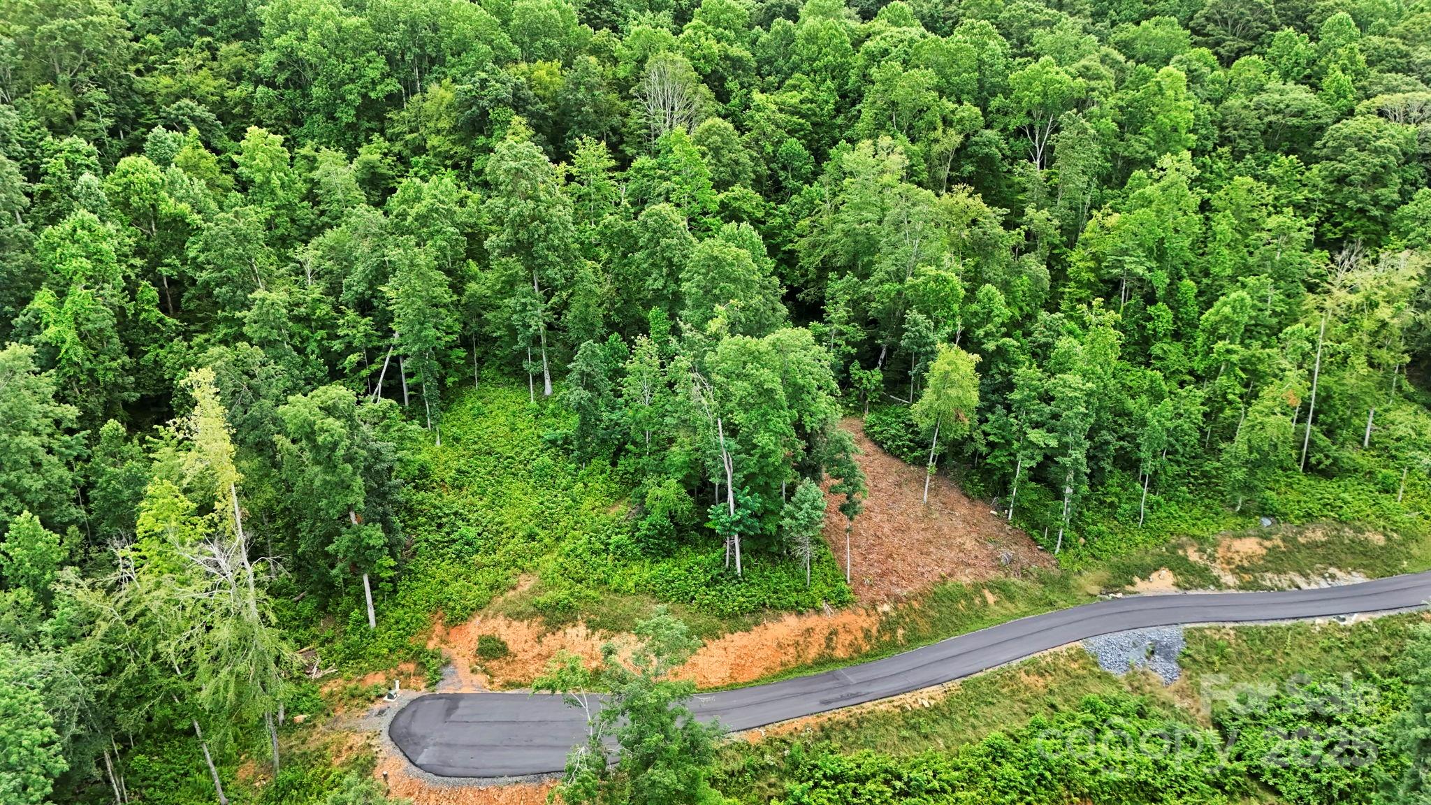Lot 27 Summit View Parkway Spruce Pine NC 28777