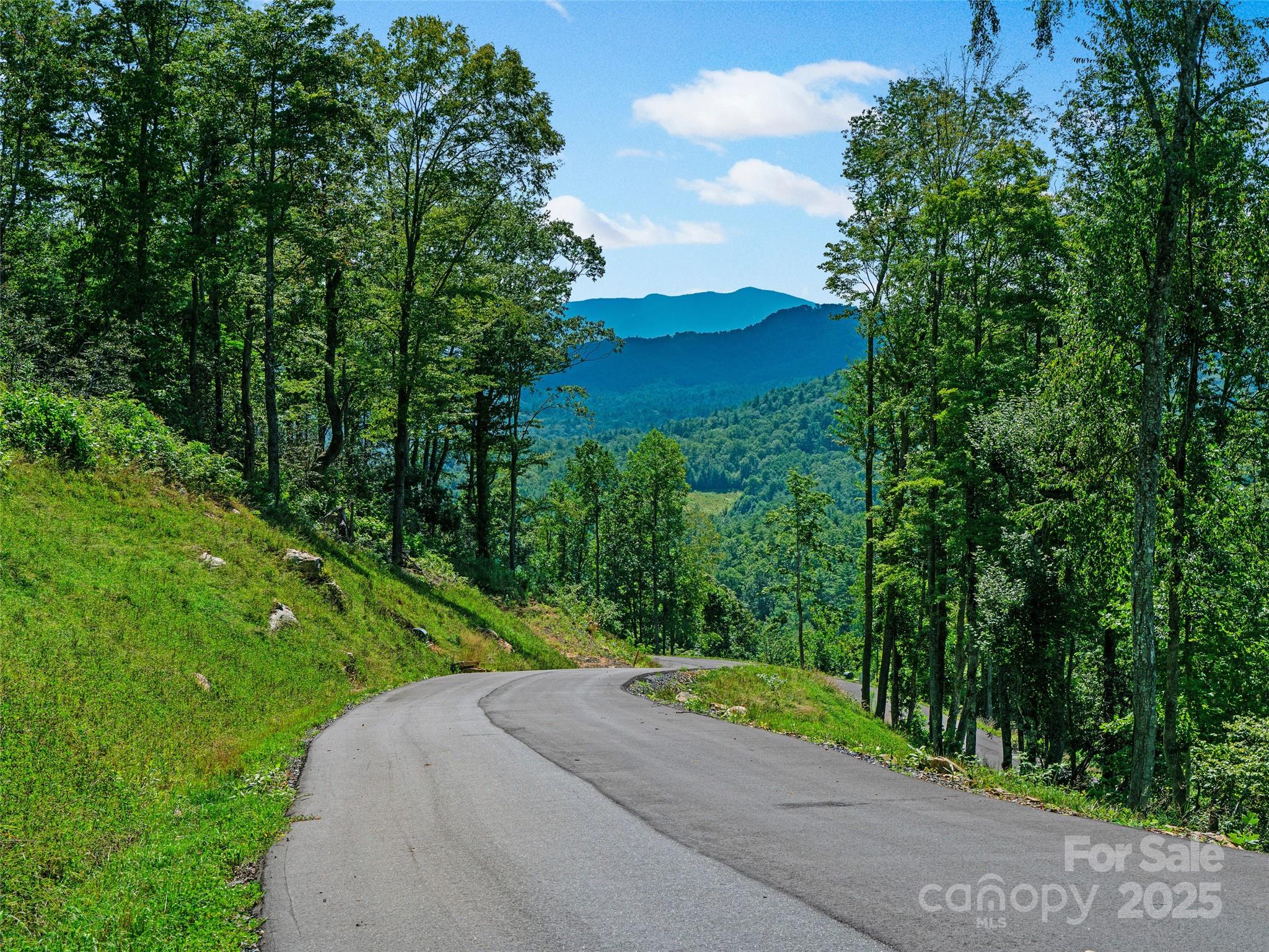0 Summit View Parkway Spruce Pine NC 28777