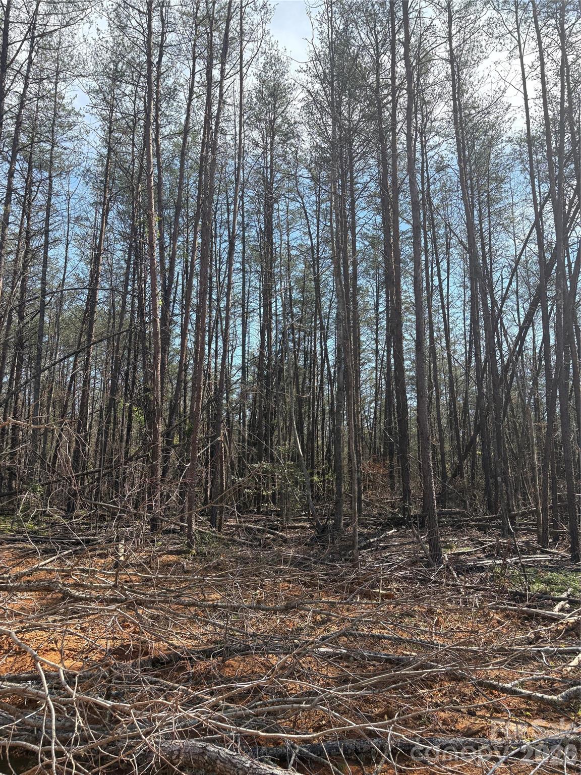 Tbd Avenida De Oro Road Morganton NC 28655