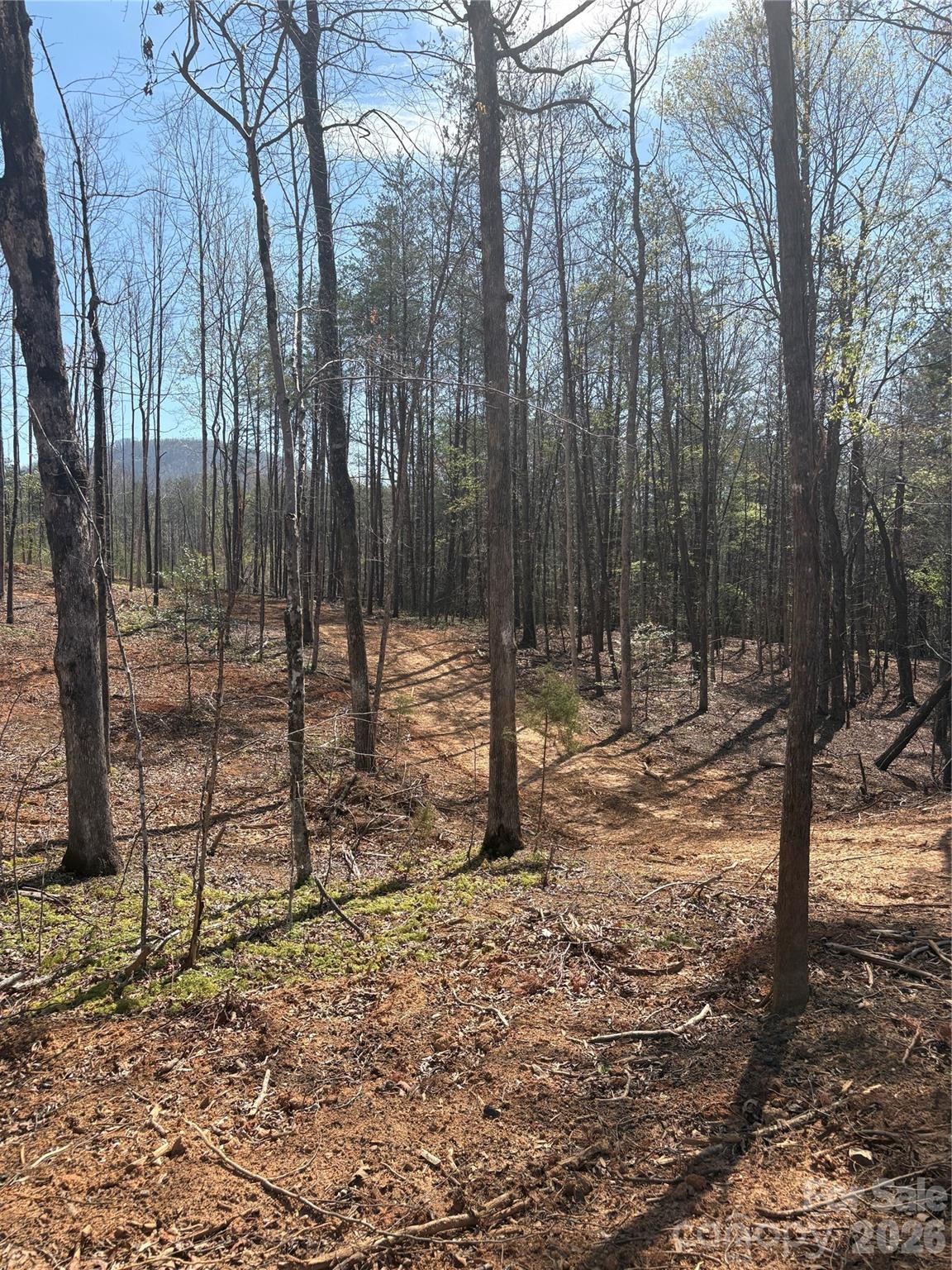 Tbd Avenida De Oro Road Morganton NC 28655