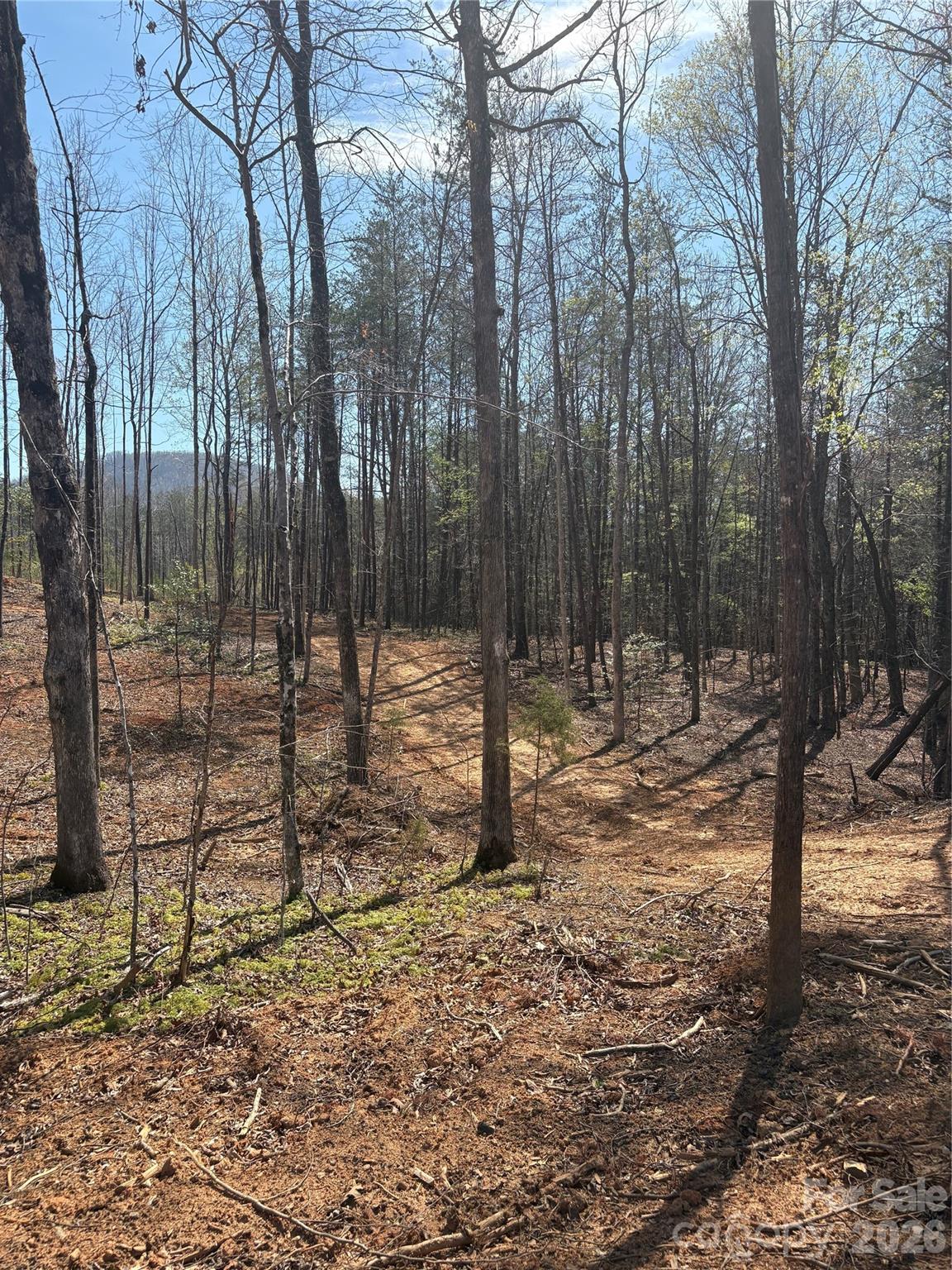 Tbd Avenida De Oro Road Morganton NC 28655
