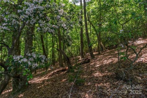 0 Mills River Way Horse Shoe NC 28742