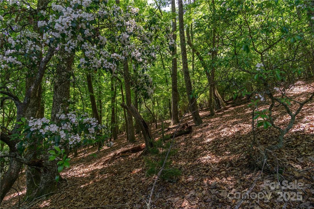 0 Mills River Way Horse Shoe NC 28742