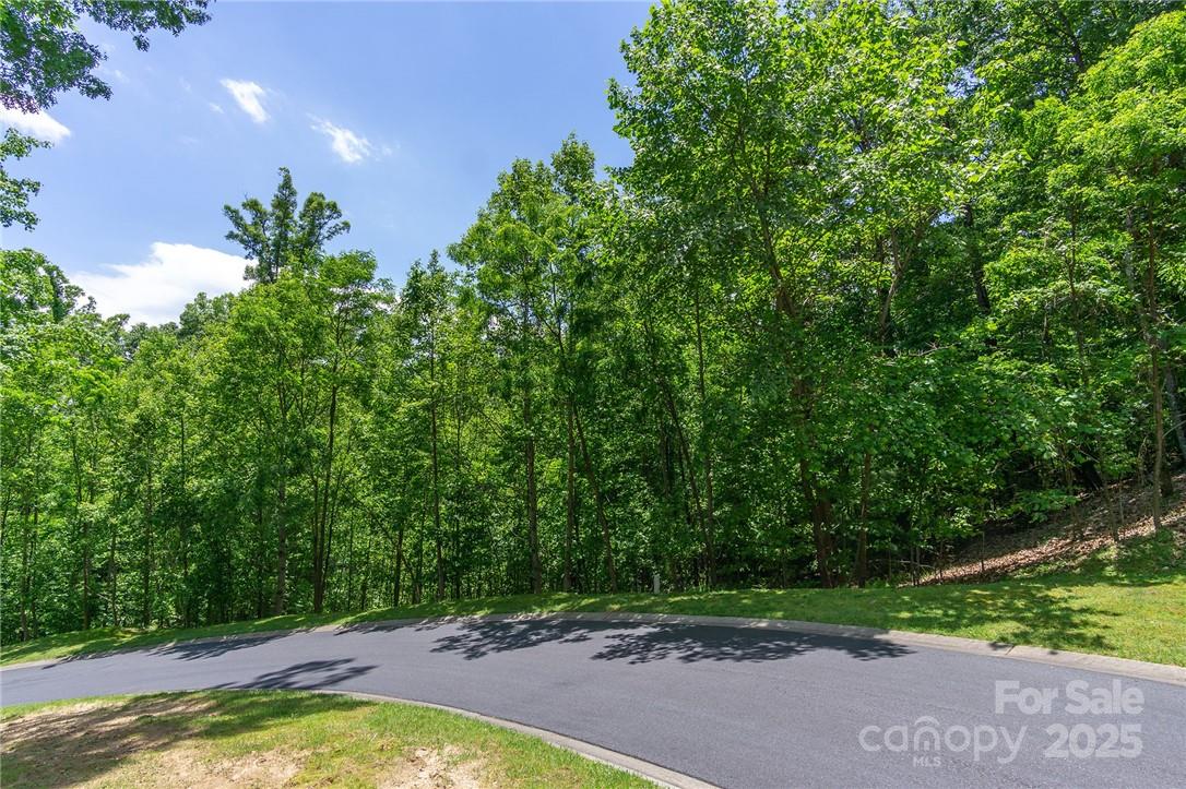 0 Mills River Way Horse Shoe NC 28742