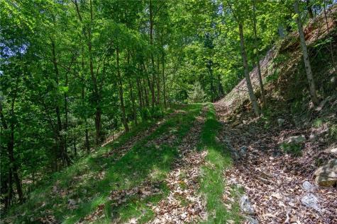 0 Mills River Way Horse Shoe NC 28742