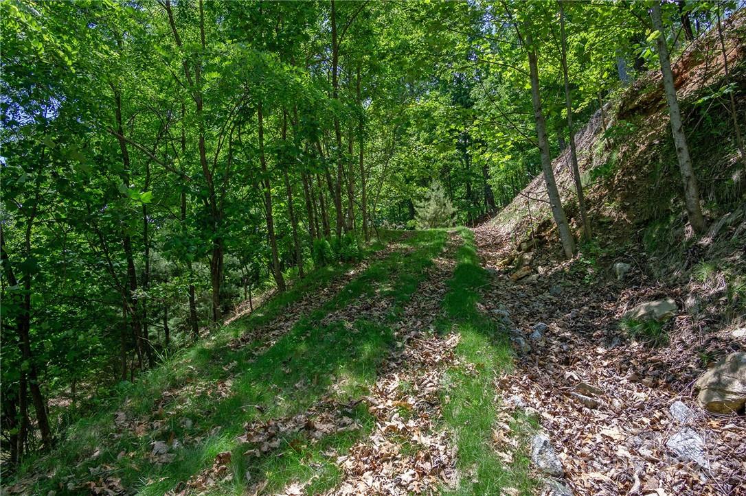 0 Mills River Way Horse Shoe NC 28742