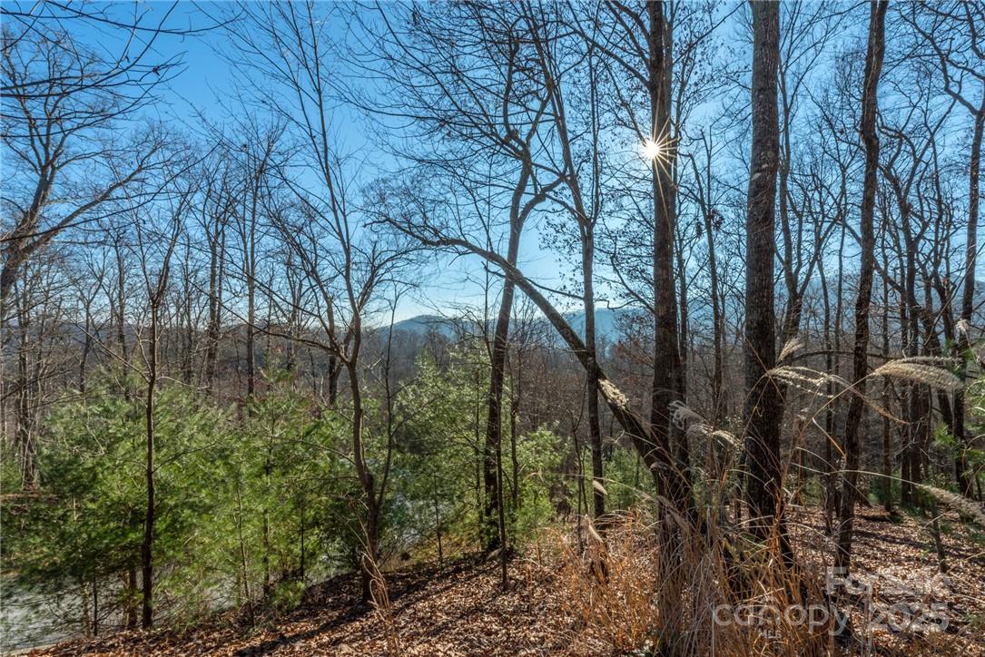 0 Mills River Way Horse Shoe NC 28742