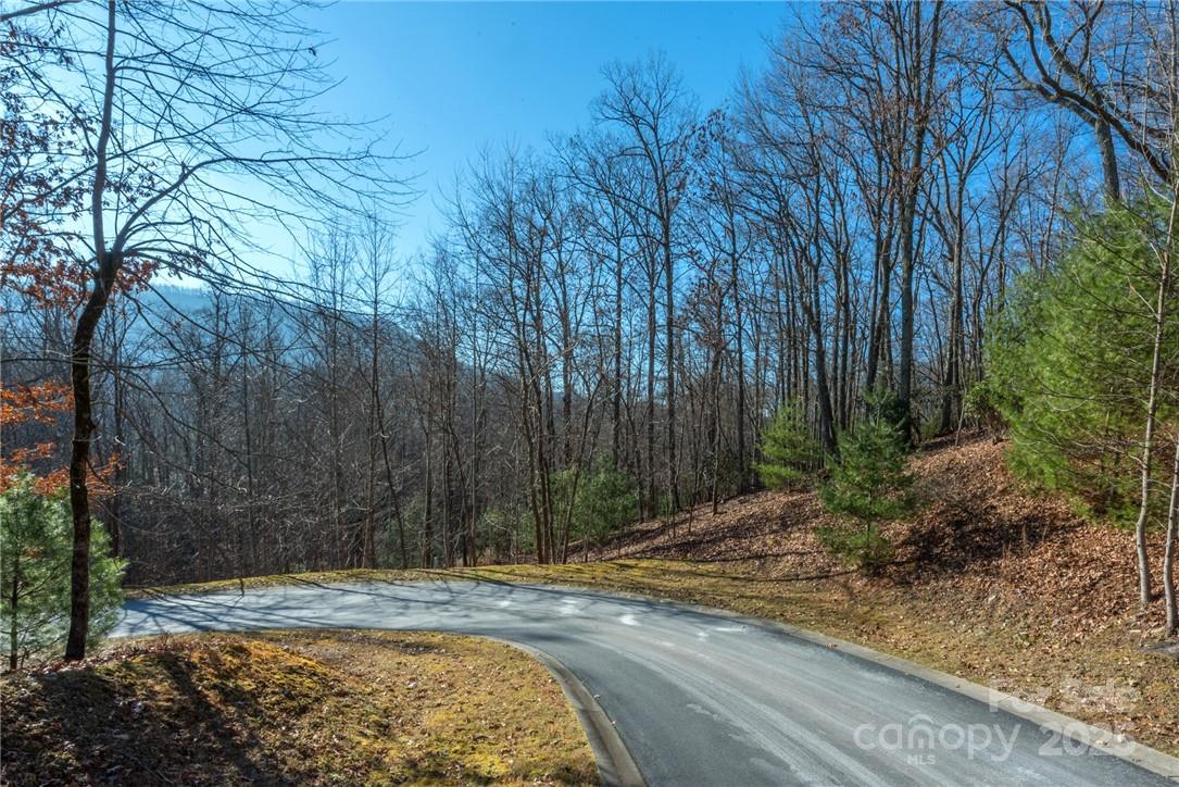 0 Mills River Way Horse Shoe NC 28742