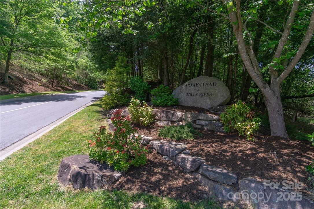 0 Mills River Way Horse Shoe NC 28742