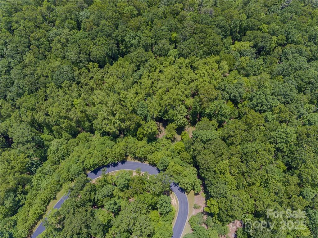 0 Mills River Way Horse Shoe NC 28742