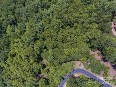 0 Mills River Way Horse Shoe NC 28742