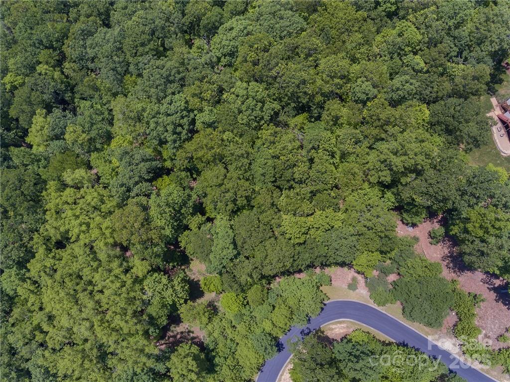 0 Mills River Way Horse Shoe NC 28742