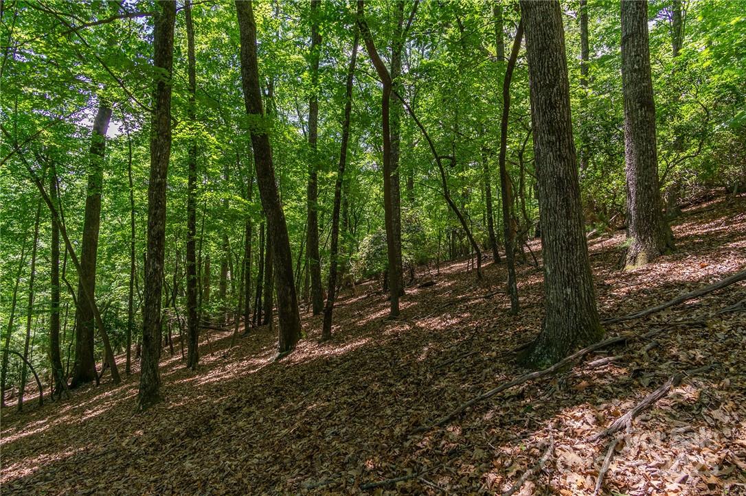 0 Mills River Way Horse Shoe NC 28742