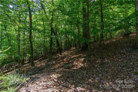 0 Mills River Way Horse Shoe NC 28742