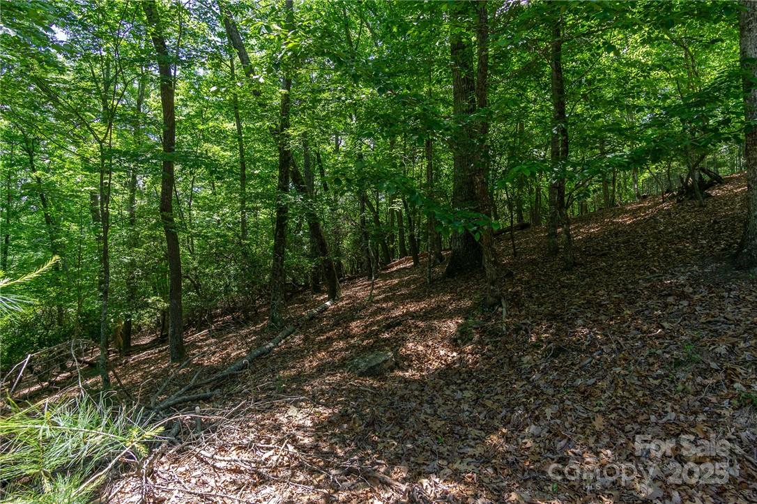 0 Mills River Way Horse Shoe NC 28742