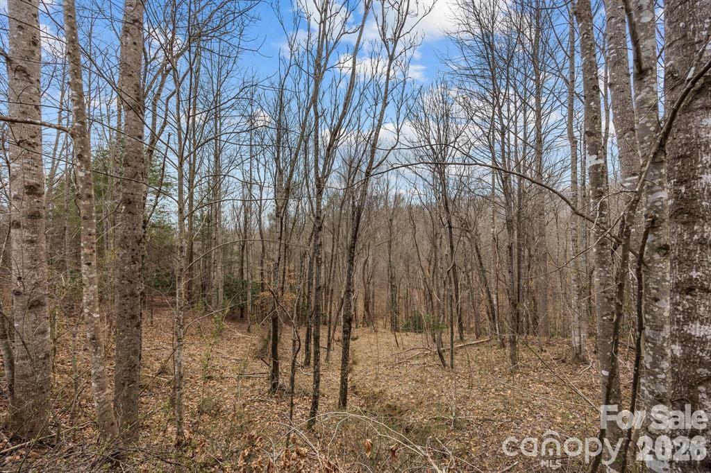 Lot 106 Glenhaven Drive Marion NC 28752