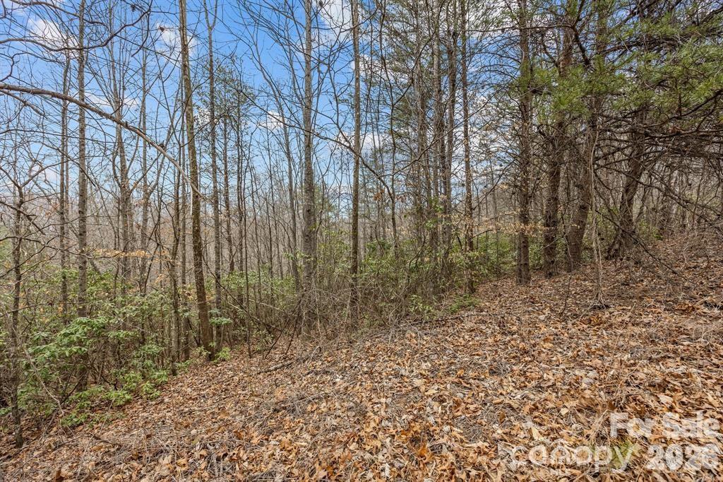 Lot 106 Glenhaven Drive Marion NC 28752