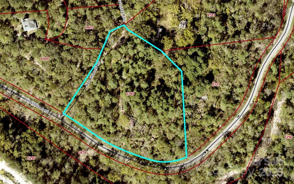 15 Ball Hollow Road Weaverville NC 28787