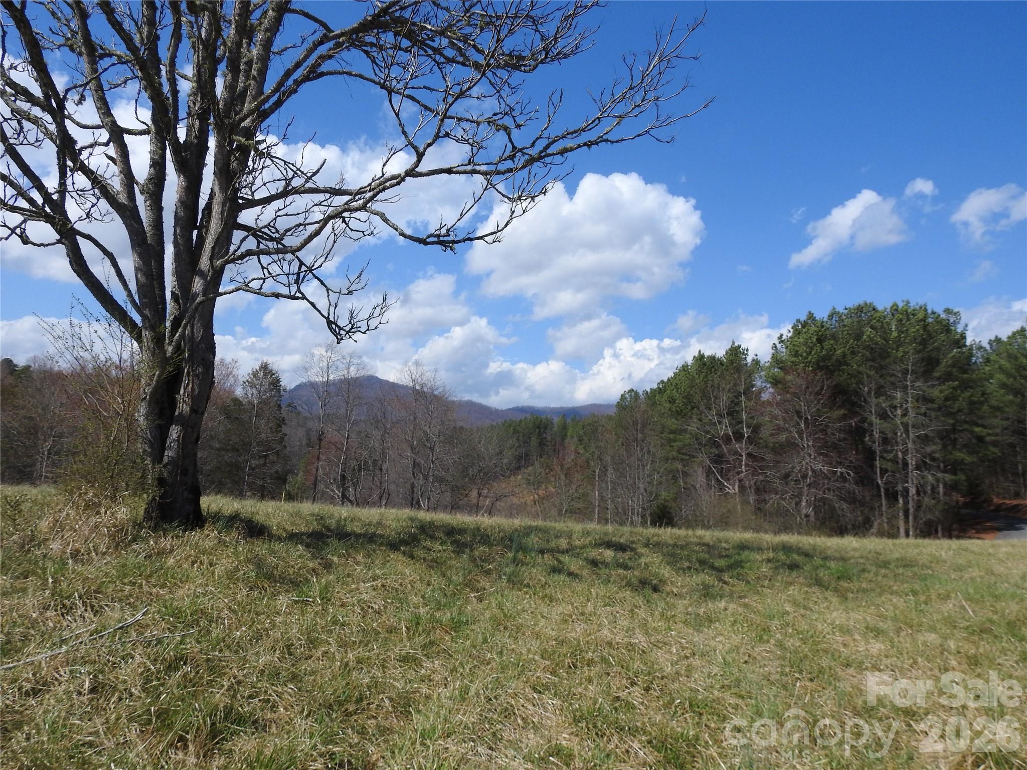 00 Laurel Lakes Parkway Lake Lure NC 28746