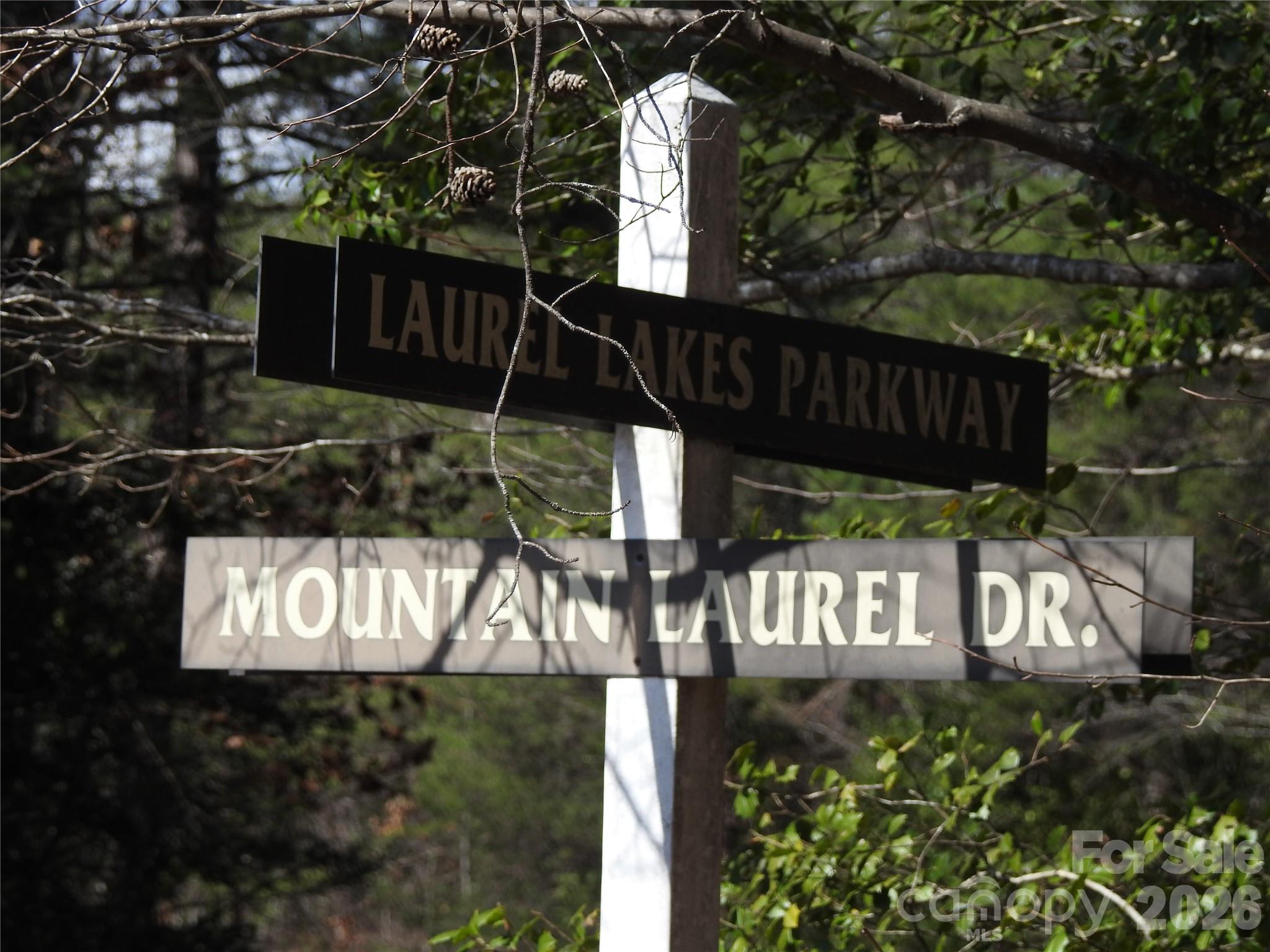 00 Laurel Lakes Parkway Lake Lure NC 28746