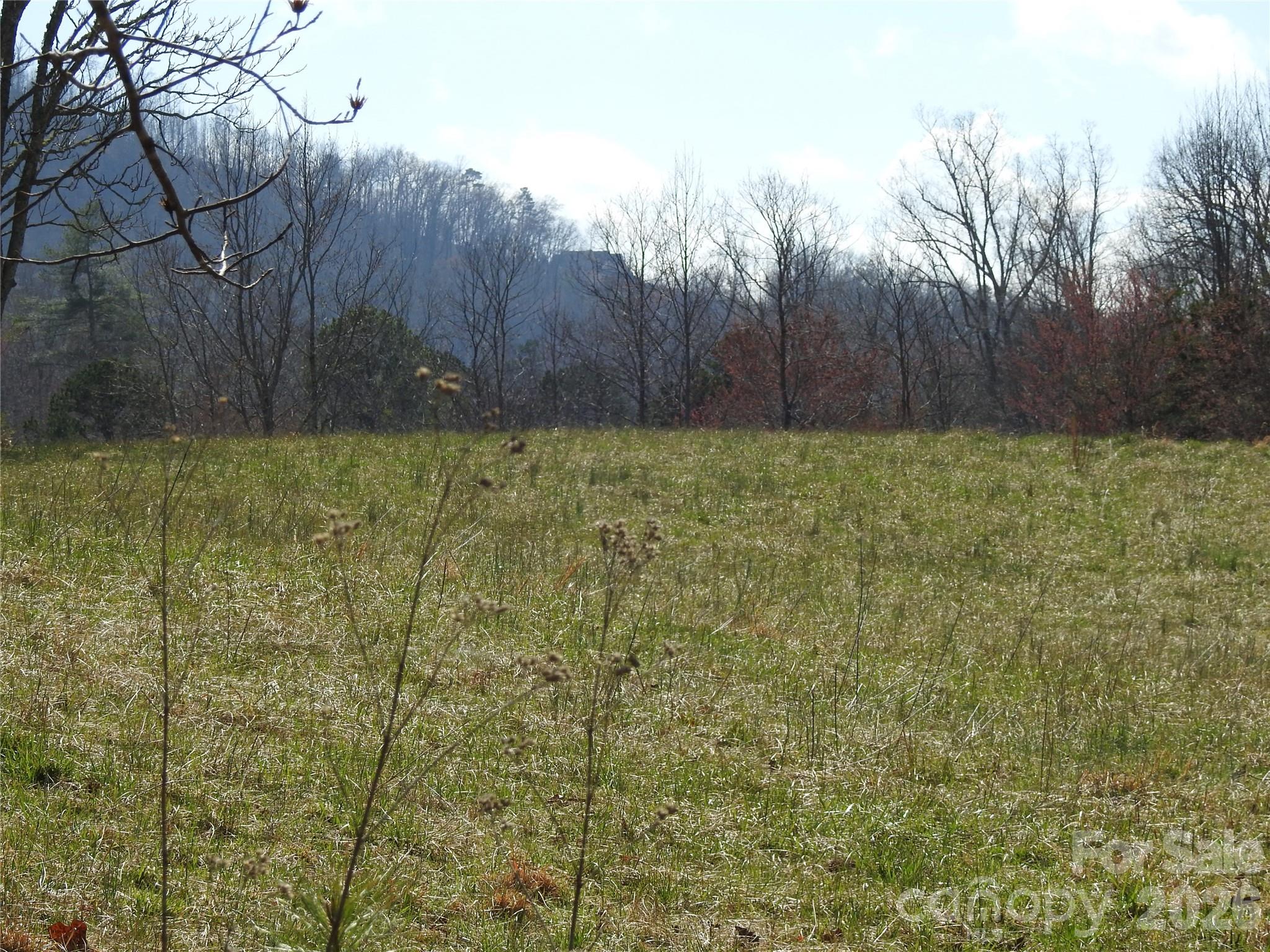 00 Laurel Lakes Parkway Lake Lure NC 28746