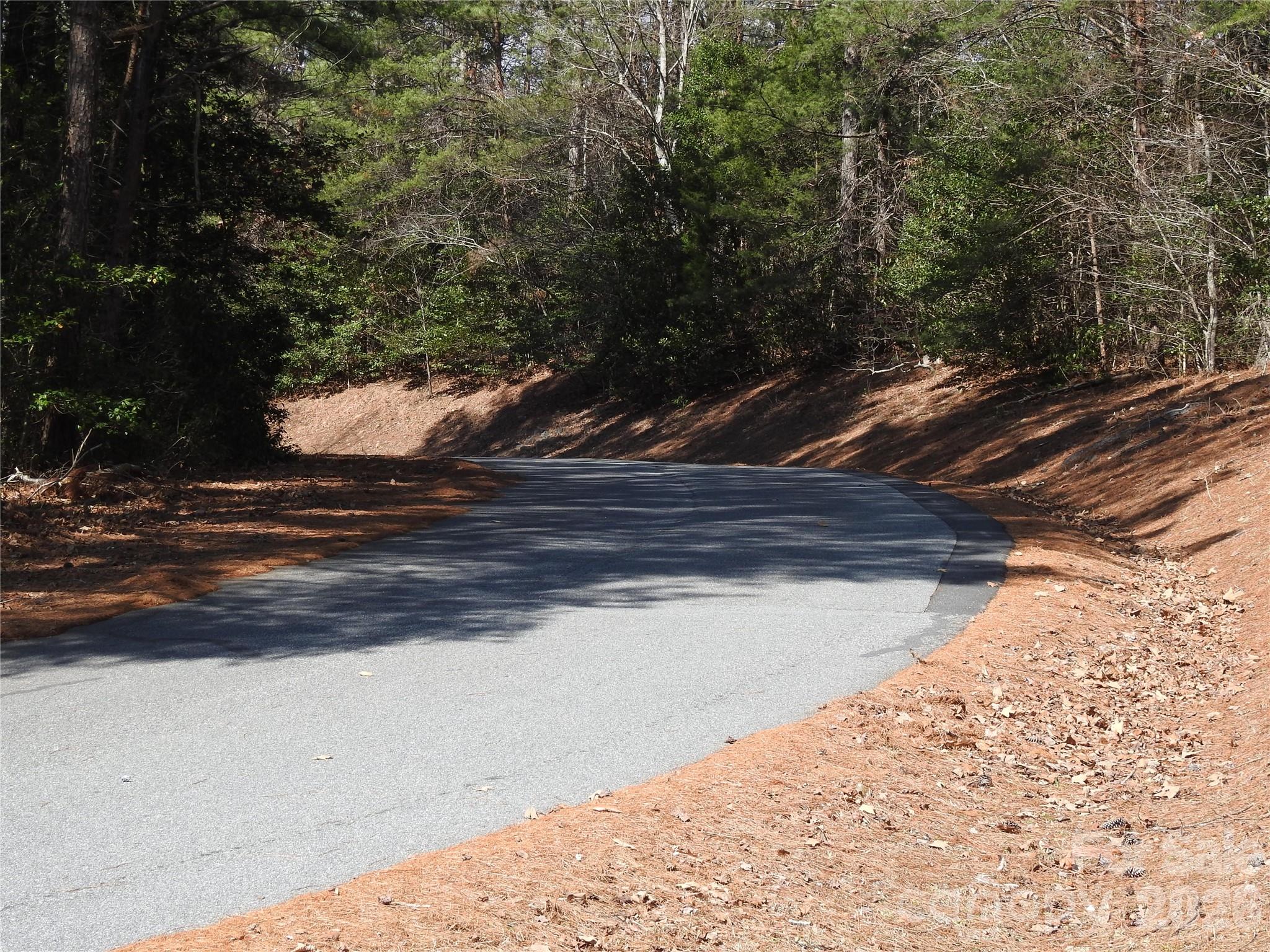 00 Laurel Lakes Parkway Lake Lure NC 28746