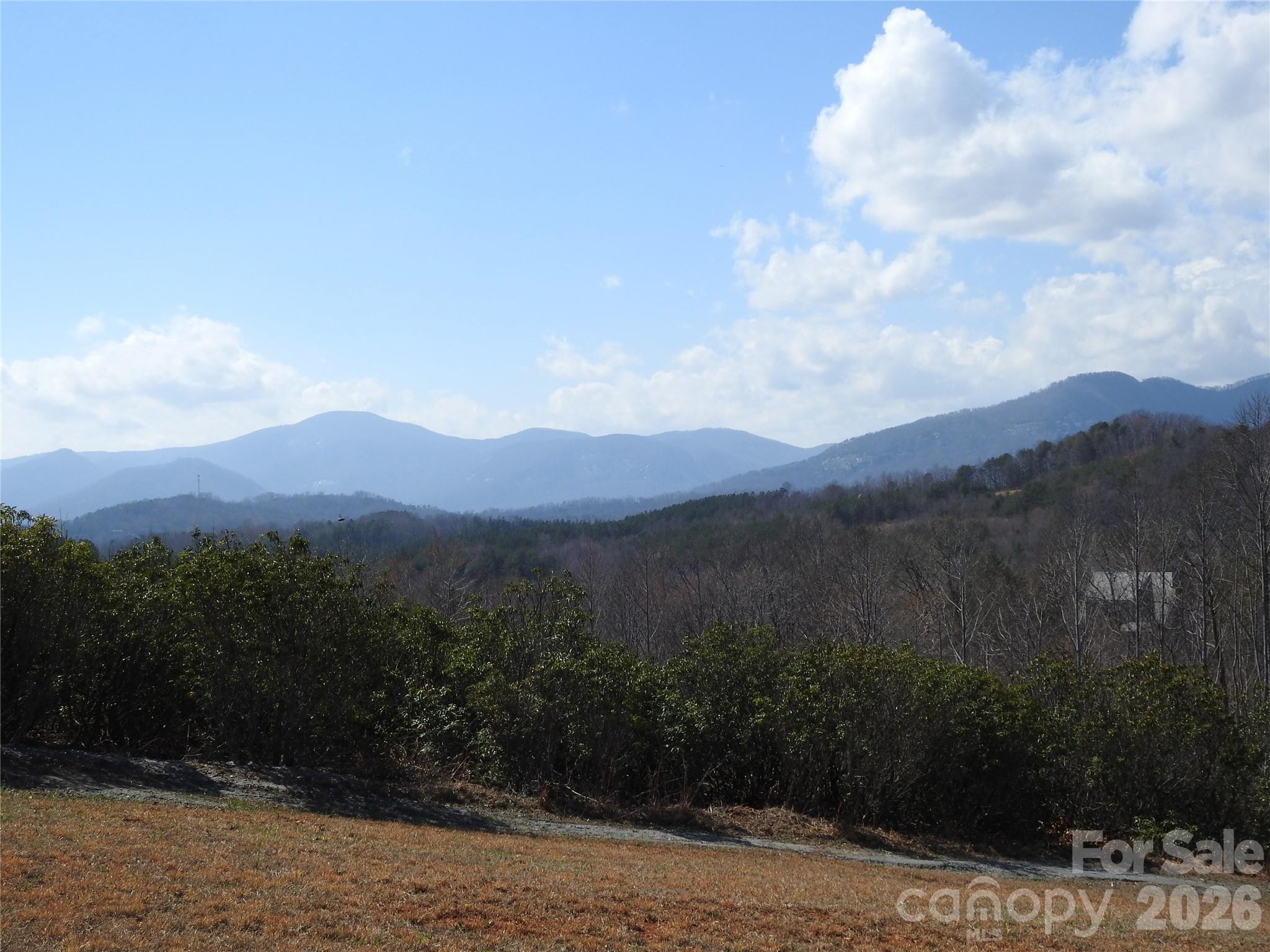 00 Laurel Lakes Parkway Lake Lure NC 28746
