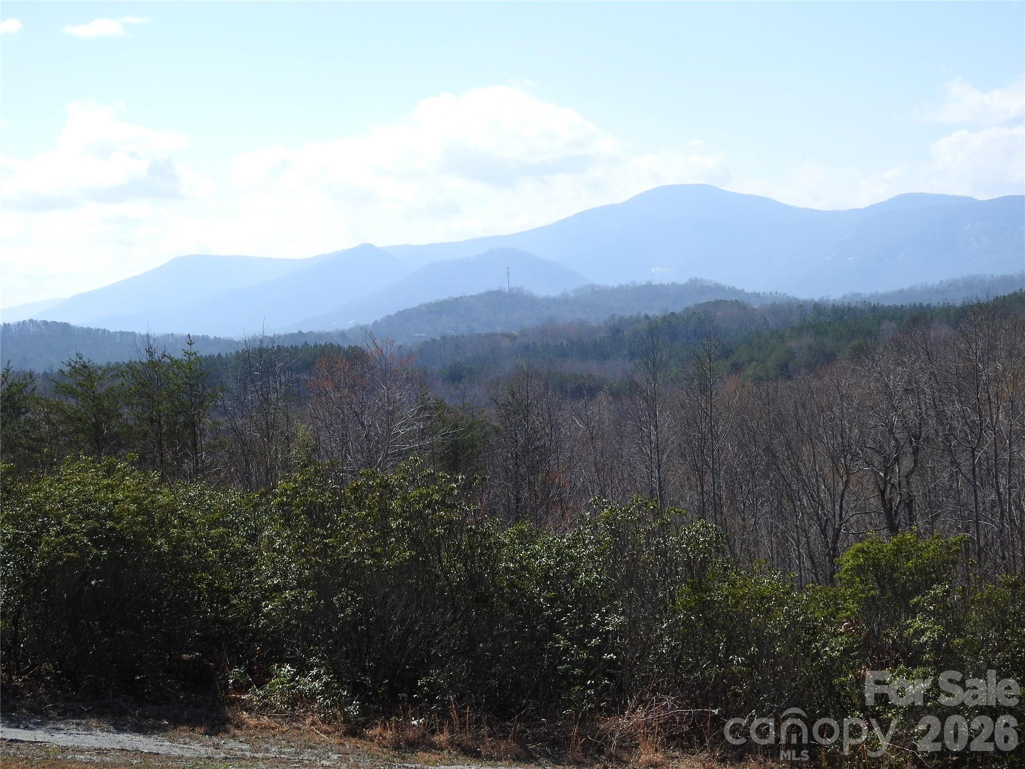 00 Laurel Lakes Parkway Lake Lure NC 28746