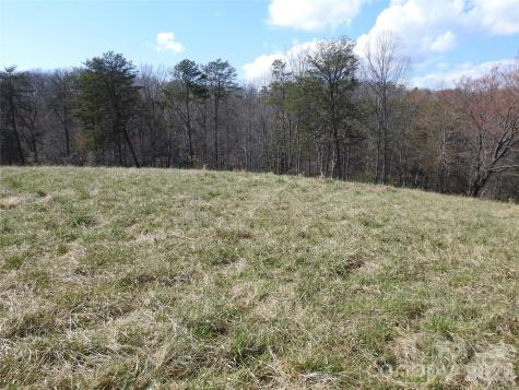 00 Laurel Lakes Parkway Lake Lure NC 28746