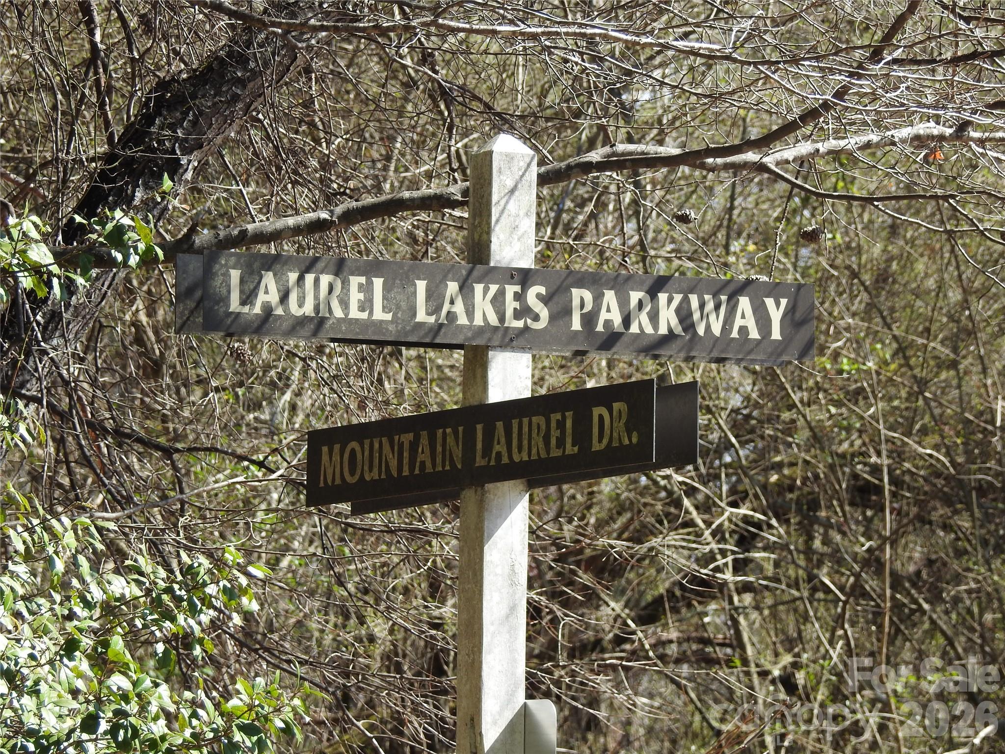 00 Laurel Lakes Parkway Lake Lure NC 28746