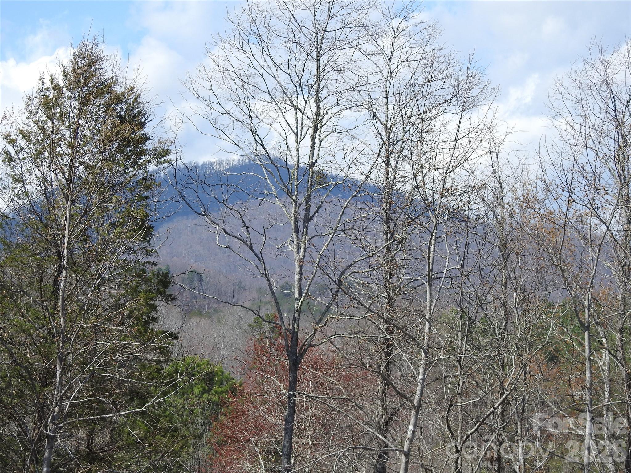 00 Laurel Lakes Parkway Lake Lure NC 28746