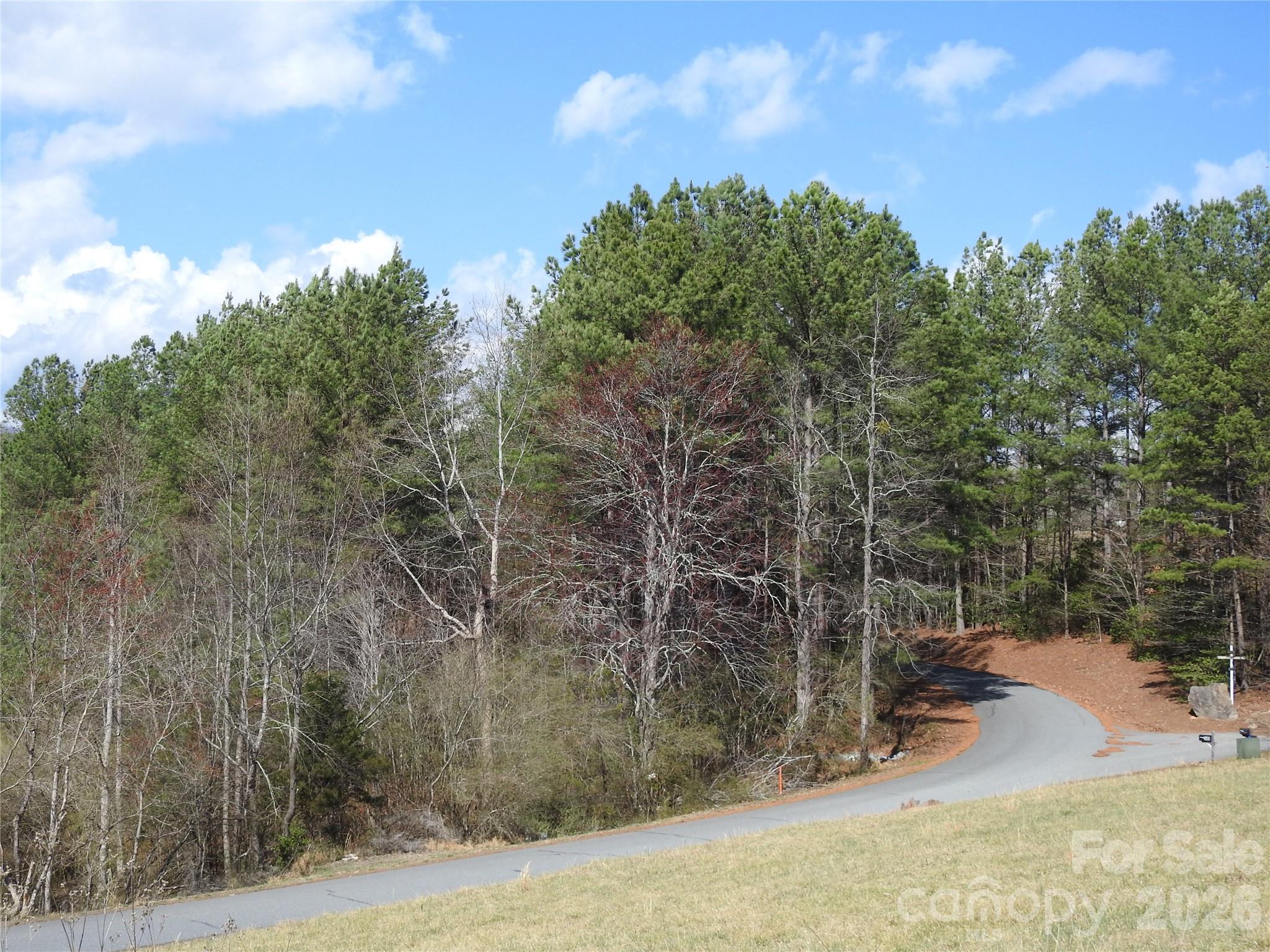 00 Laurel Lakes Parkway Lake Lure NC 28746