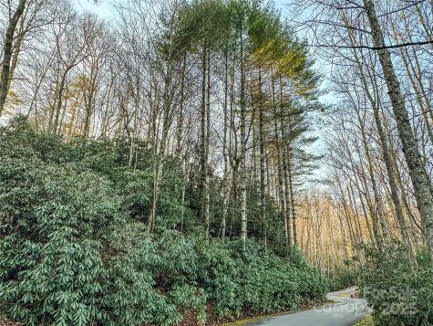 D17 Caroline Lane Pisgah Forest NC 28768