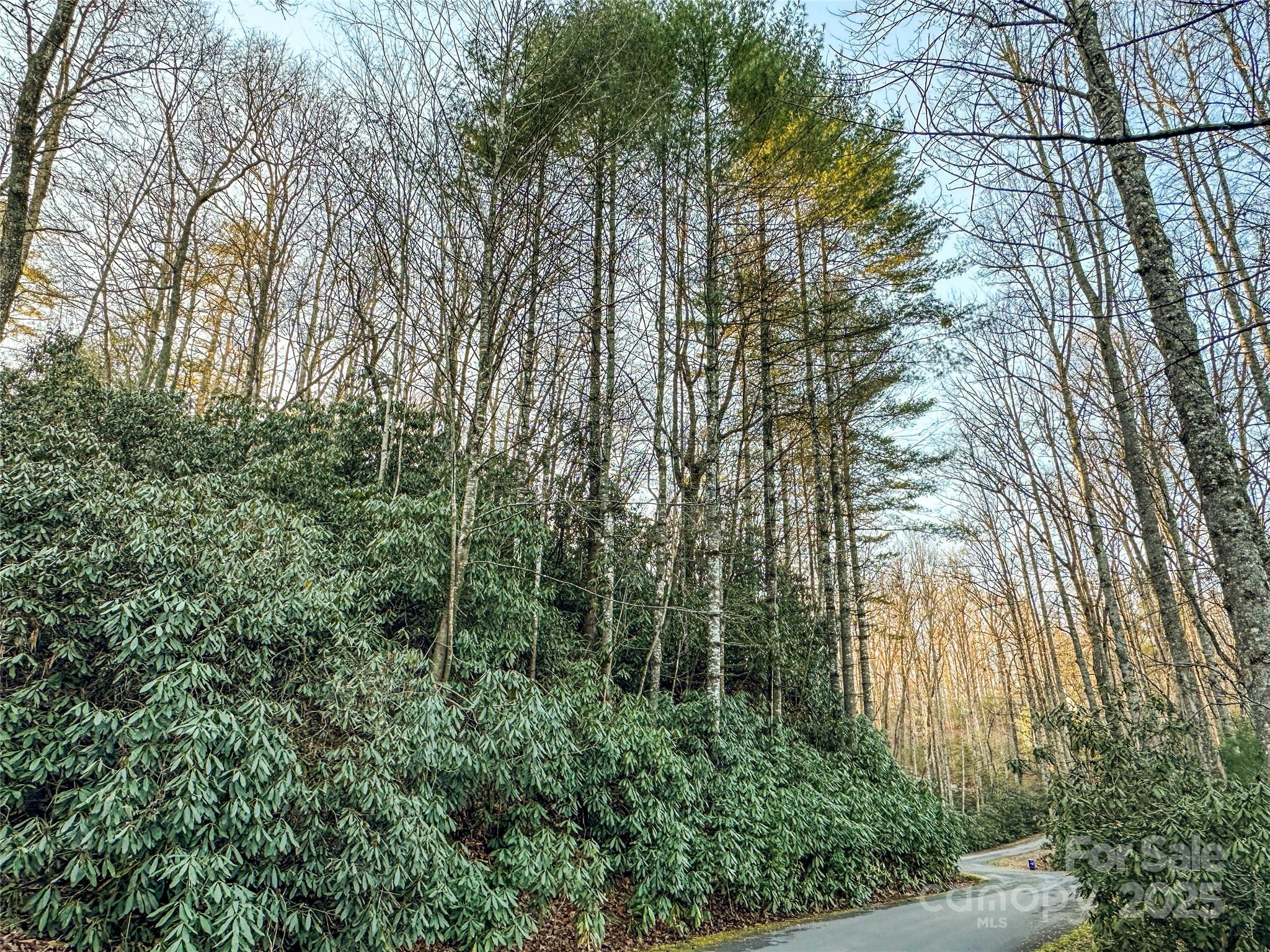 D17 Caroline Lane Pisgah Forest NC 28768