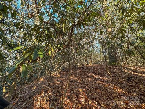D17 Caroline Lane Pisgah Forest NC 28768