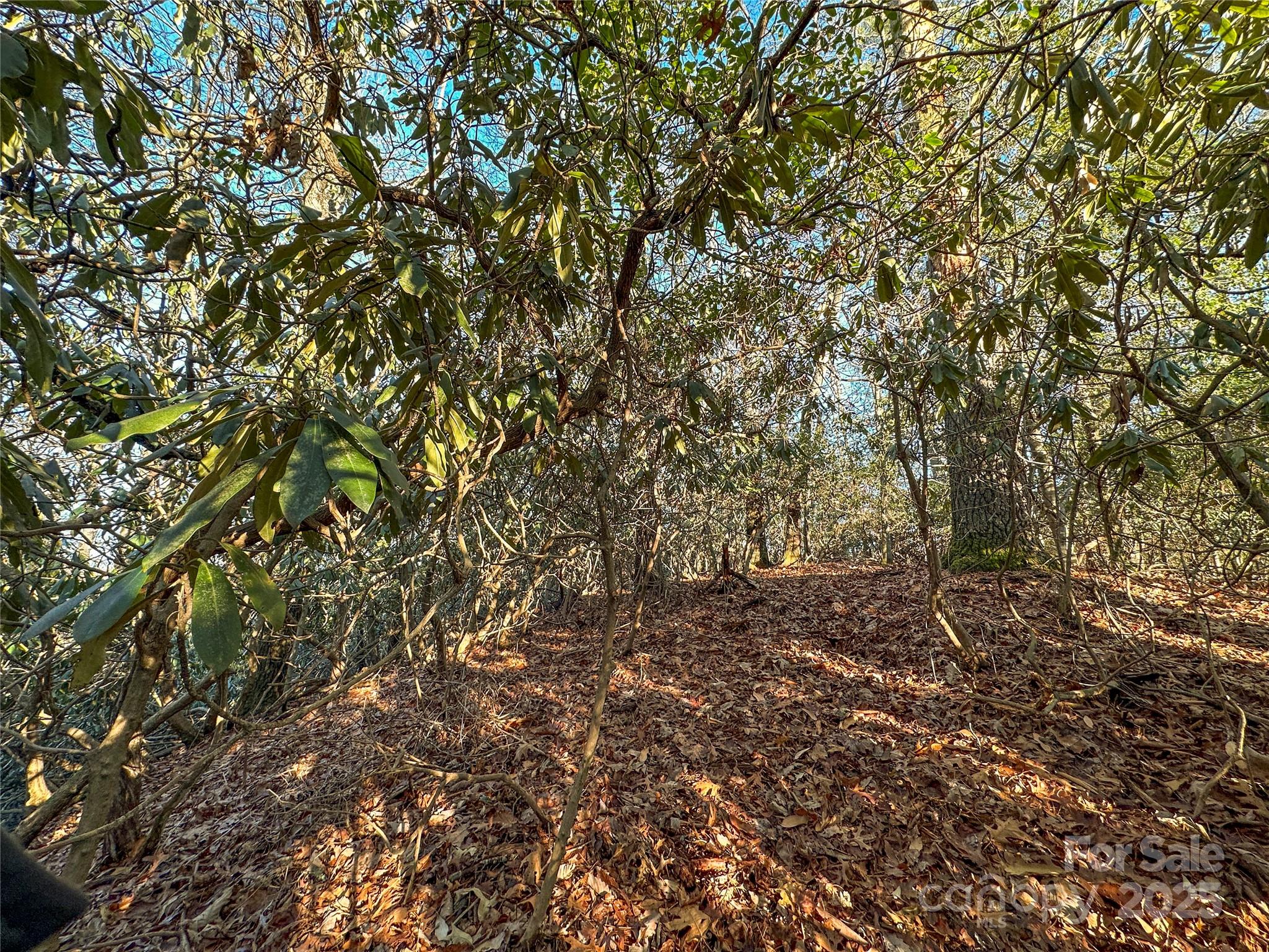D17 Caroline Lane Pisgah Forest NC 28768