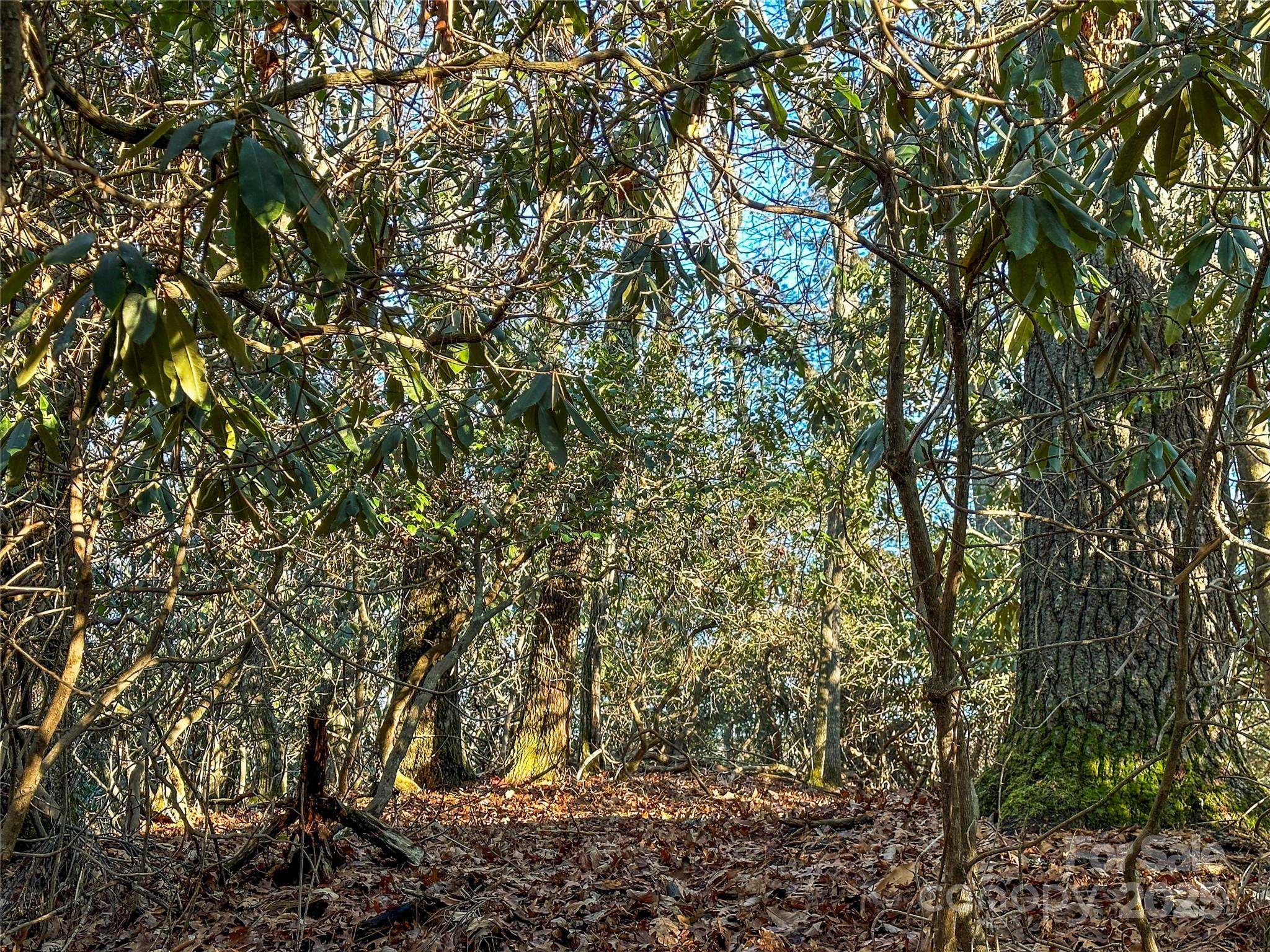 D17 Caroline Lane Pisgah Forest NC 28768
