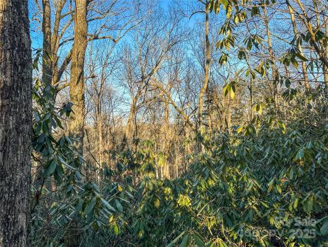 D17 Caroline Lane Pisgah Forest NC 28768