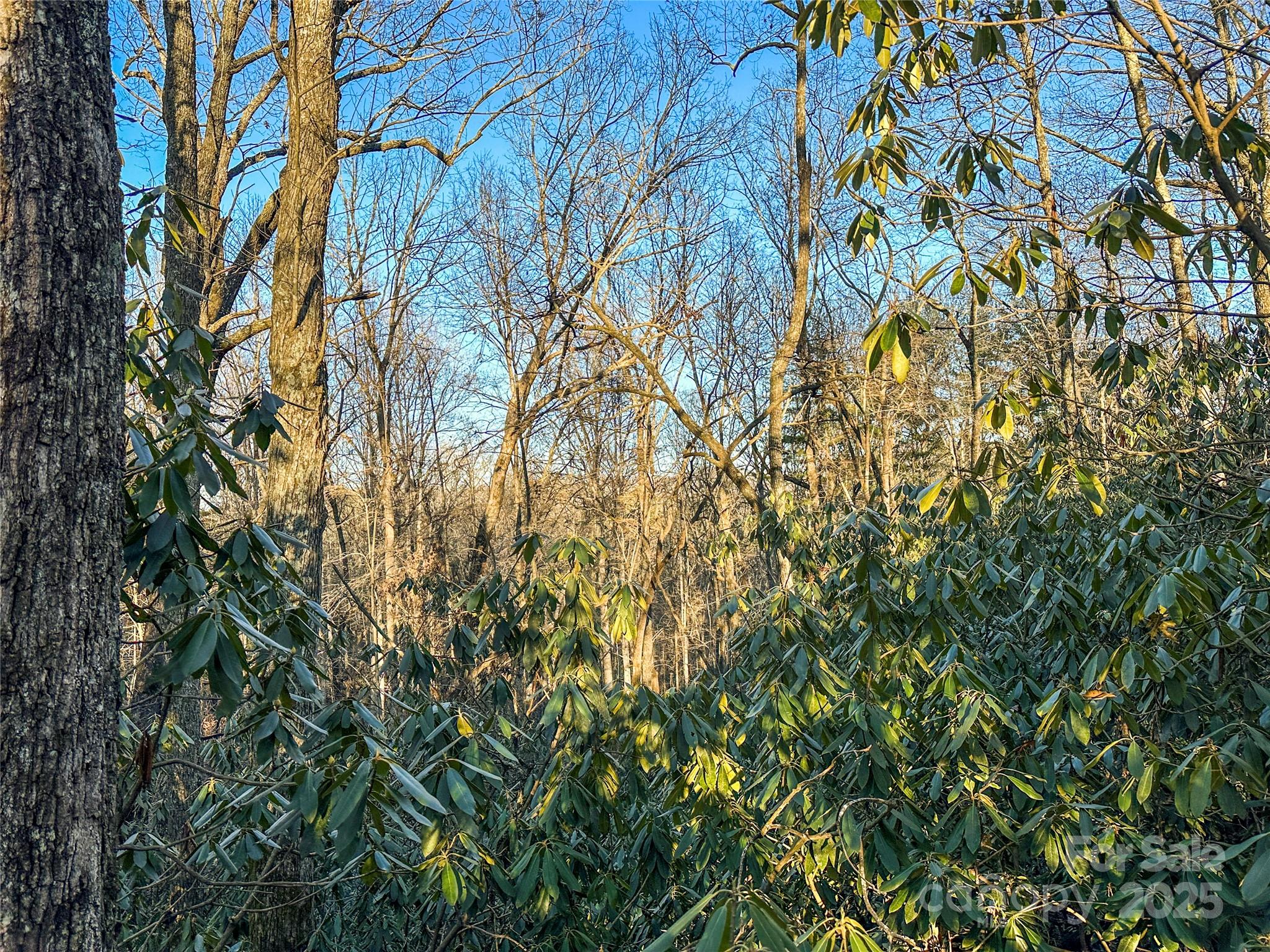 D17 Caroline Lane Pisgah Forest NC 28768