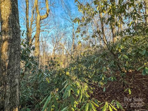 D17 Caroline Lane Pisgah Forest NC 28768