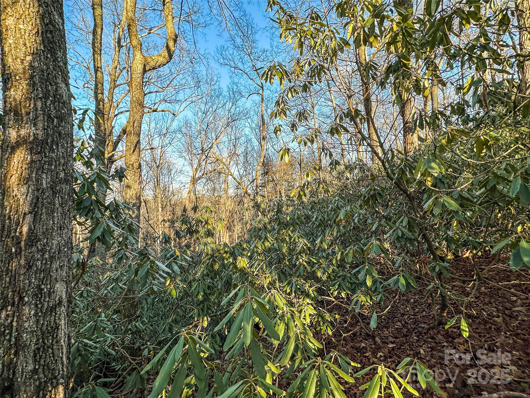 D17 Caroline Lane Pisgah Forest NC 28768