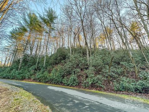 D17 Caroline Lane Pisgah Forest NC 28768